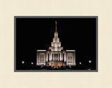 Saratoga Springs Temple - A Light in the Darkness