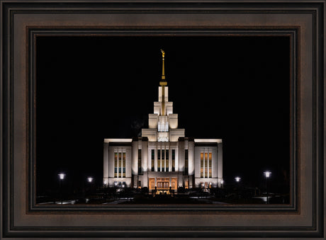 Saratoga Springs Temple - A Light in the Darkness