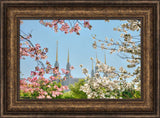 Washington DC Temple - Spring Flower View by Kyle Woodbury