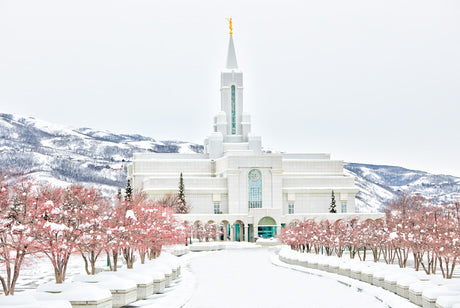 Bountiful Temple - In the Snow by Kyle Woodbury