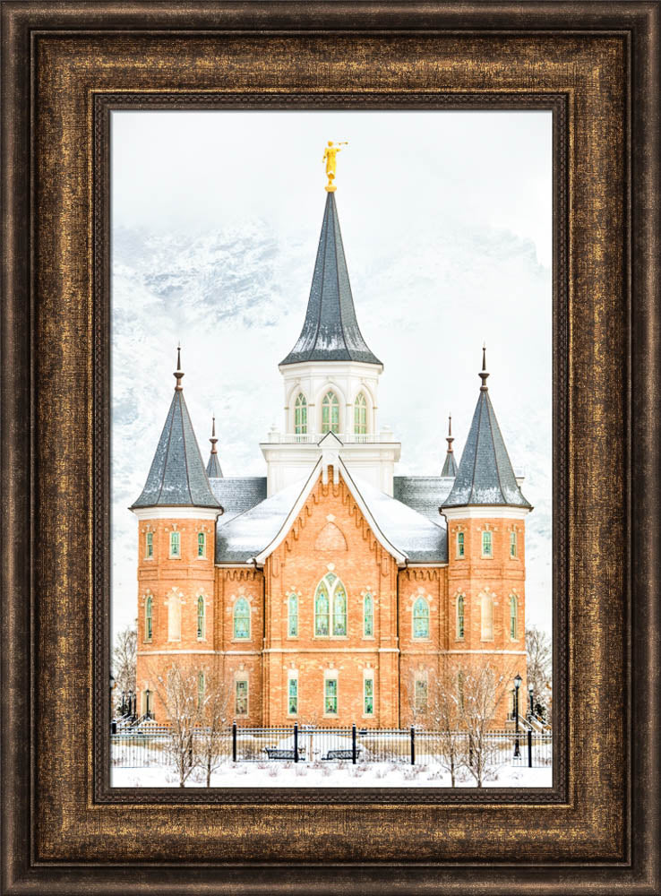 Provo City Center Temple - In January by Kyle Woodbury