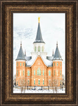 Provo City Center Temple - In January by Kyle Woodbury