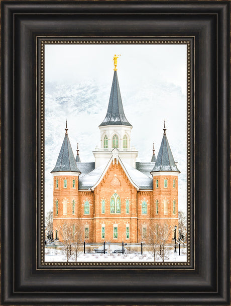 Provo City Center Temple - In January by Kyle Woodbury