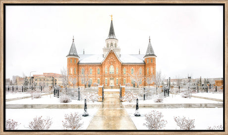 Provo City Center Temple - Snowstorm by Kyle Woodbury