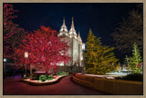 Salt Lake Temple - Christmas Pathway by Lance Bertola