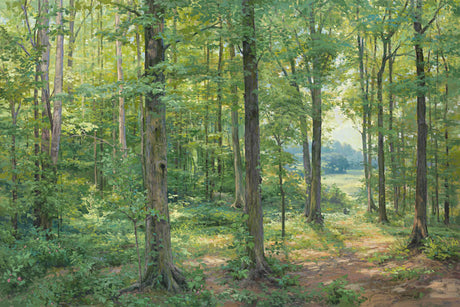 View of inside the sacred grove in Palmyra NY looking out into a field. 