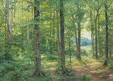 Sacred Grove 1907 5x7 print