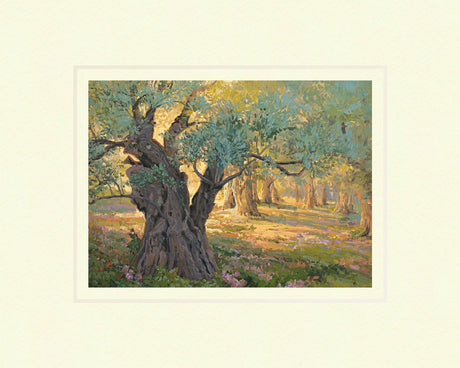 Olive trees in the garden of Gethsemane with light shinning through. Art 13