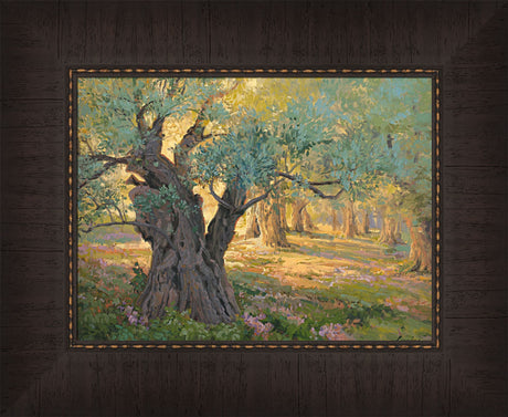 Olive trees in the garden of Gethsemane with light shinning through. Art 8