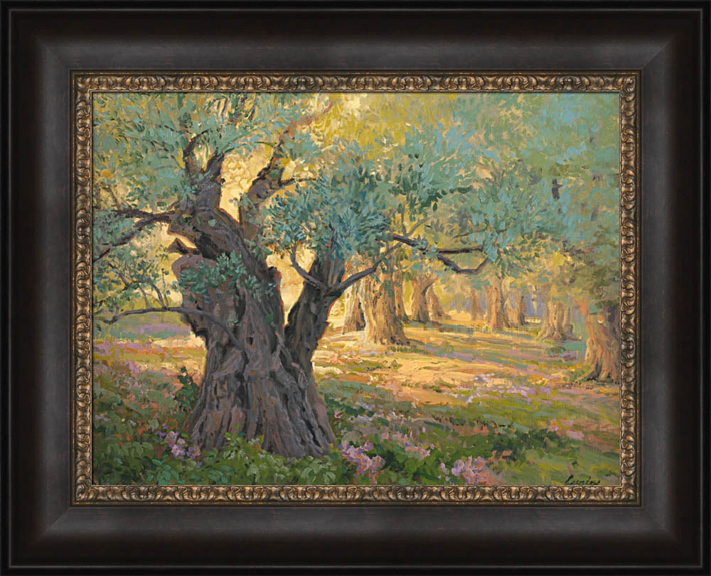 Olive trees in the garden of Gethsemane with light shinning through. Art 7