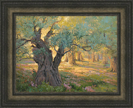 Olive trees in the garden of Gethsemane with light shinning through. Art 4