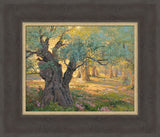 Olive trees in the garden of Gethsemane with light shinning through. Art 11