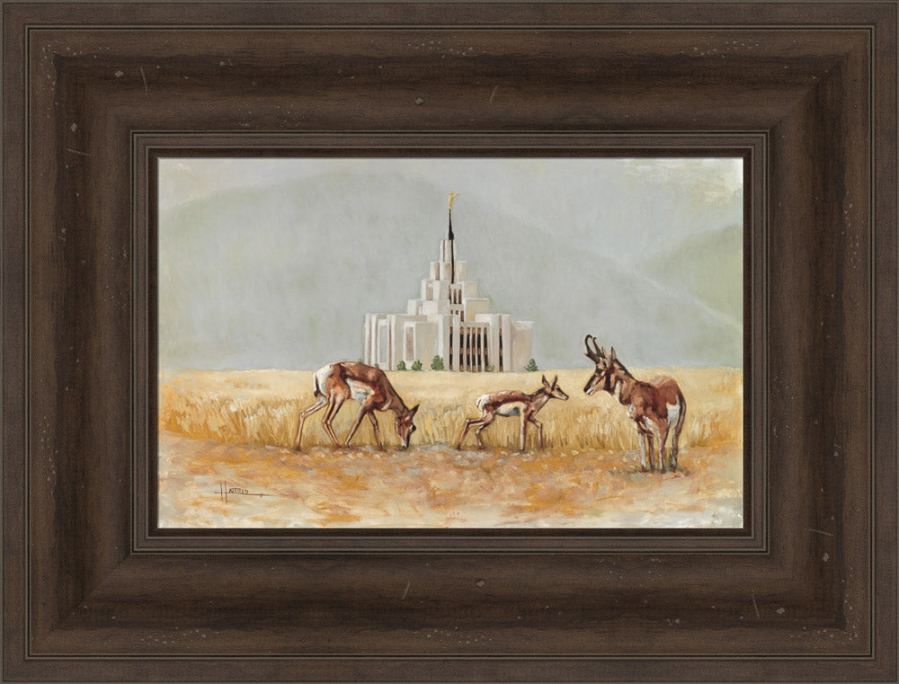 Saratoga Springs Temple- Misty Morning- Lori Hatfield