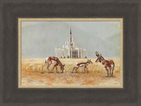 Saratoga Springs Temple- Misty Morning- Lori Hatfield