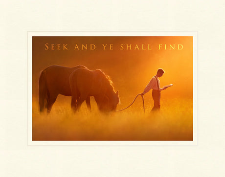 Seek and Ye Shall Find by Kelsy and Jesse Lightweave