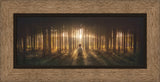 Young Joseph Smith kneeling in a grove of trees with light shining through.  Art 3