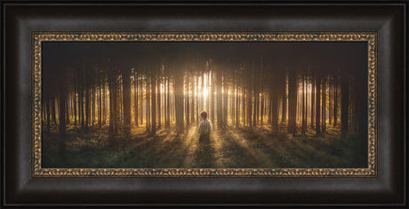 Young Joseph Smith kneeling in a grove of trees with light shining through.  Art 4