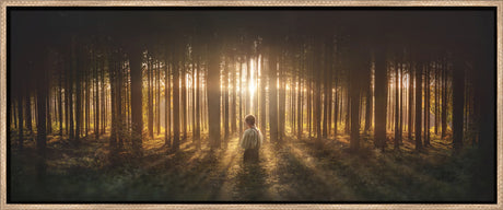 Young Joseph Smith kneeling in a grove of trees with light shining through.  Art 5