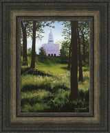 Nauvoo the Beautiful by Mark Eastmond