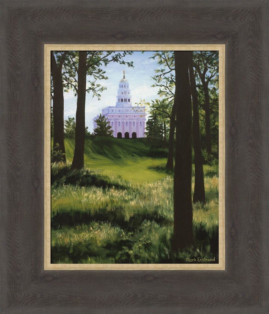 Nauvoo the Beautiful by Mark Eastmond