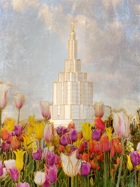 Idaho Falls Idaho Temple with purple, pink, and yellow tulips. 