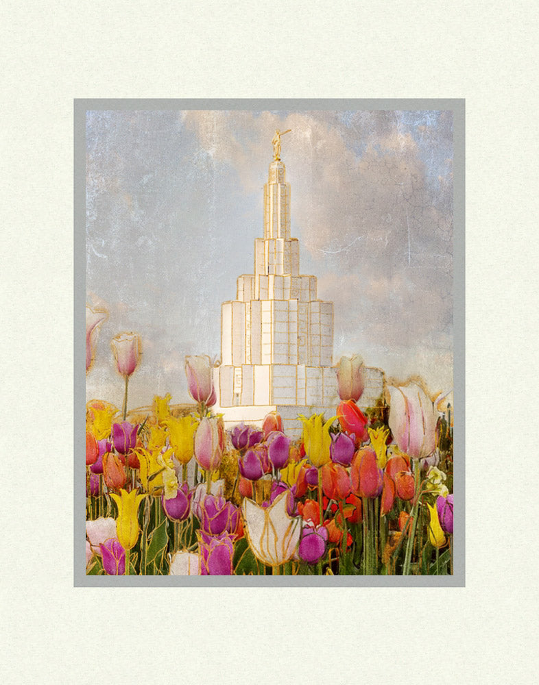 Idaho Falls Temple - Tulips by Mandy Jane Williams