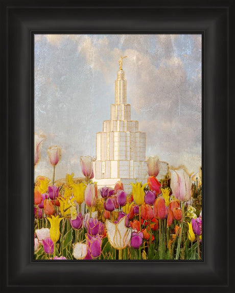 Idaho Falls Temple - Tulips by Mandy Jane Williams