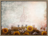 Idaho Falls Temple - Brightness of Hope by Mandy Jane Williams