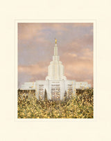 Idaho Falls Temple - Giving Rest by Mandy Jane Williams