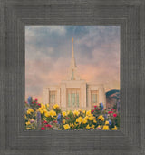 Ogden Temple - Warmth and Clarity by Mandy Jane Williams