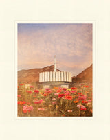 Provo Utah Temple - Flowers by Mandy Jane Williams