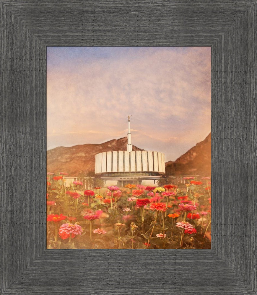 Provo Utah Temple - Flowers by Mandy Jane Williams