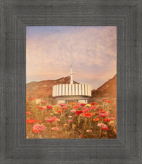 Provo Utah Temple - Flowers by Mandy Jane Williams