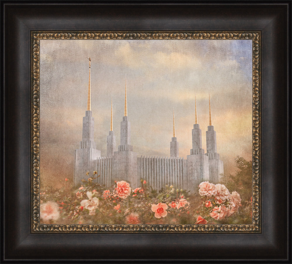 Washington DC Temple - American Rose by Mandy Jane Williams