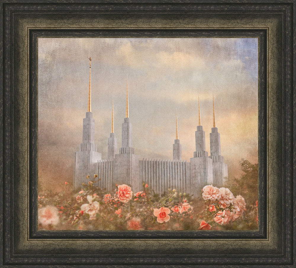 Washington DC Temple - American Rose by Mandy Jane Williams