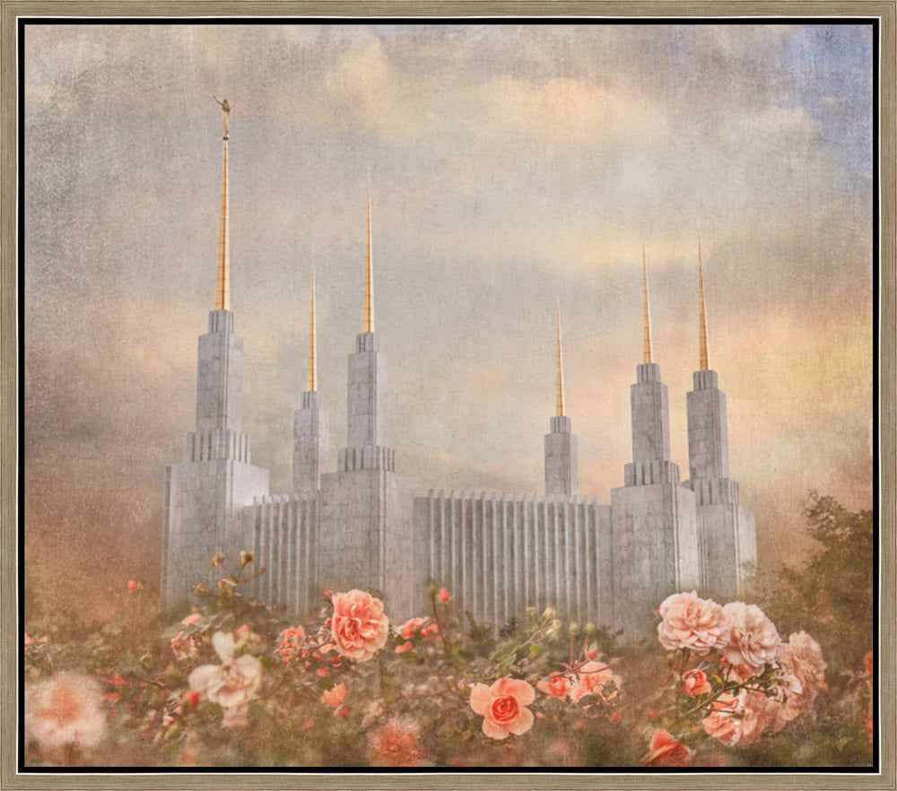 Washington DC Temple - American Rose by Mandy Jane Williams