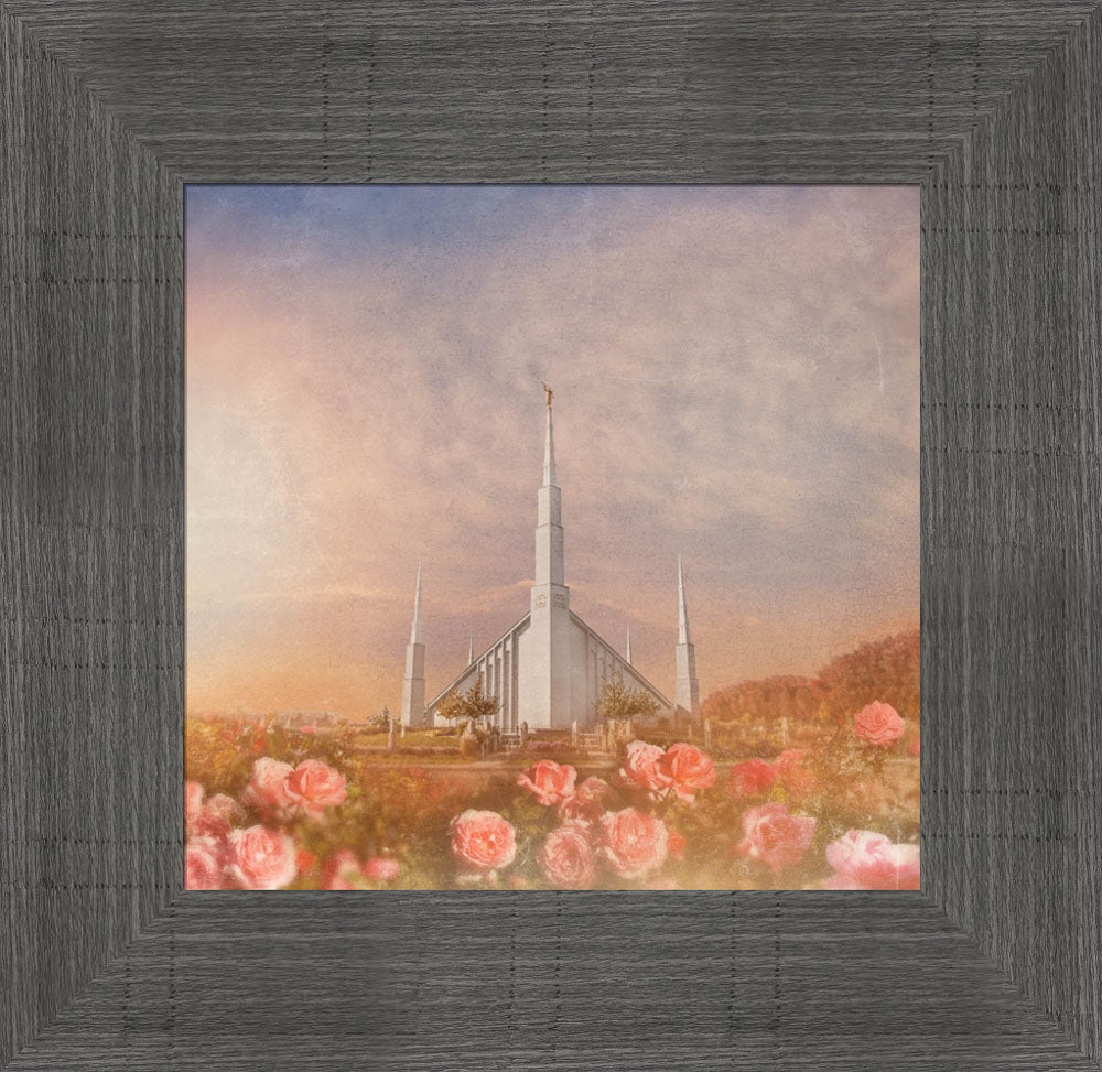 Boise Temple - Roses by Mandy Jane Williams