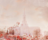 Bountiful Utah Temple in the winter. 