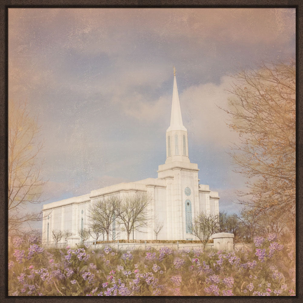 St. Louis Temple - Bluebells