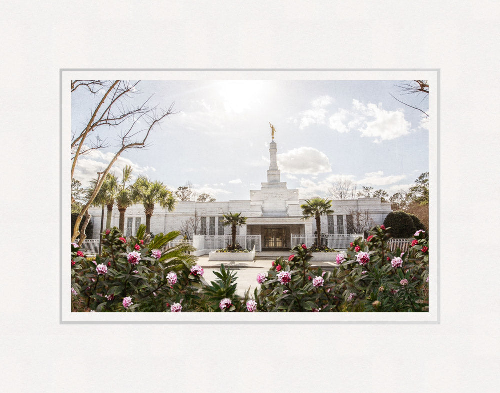 Columbia South Carolina Temple- Increased Faith