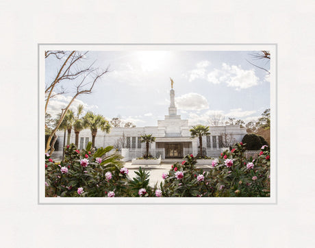 Columbia South Carolina Temple- Increased Faith