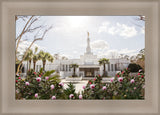 Columbia South Carolina Temple- Increased Faith