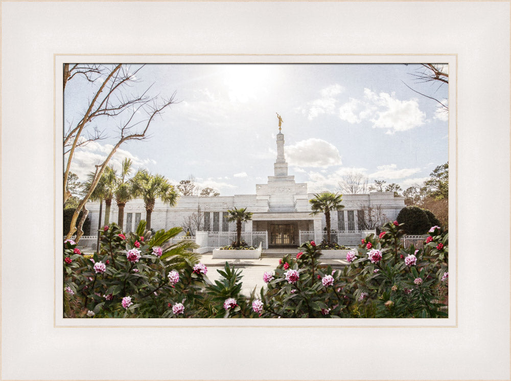 Columbia South Carolina Temple- Increased Faith