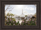 Columbia South Carolina Temple- Increased Faith