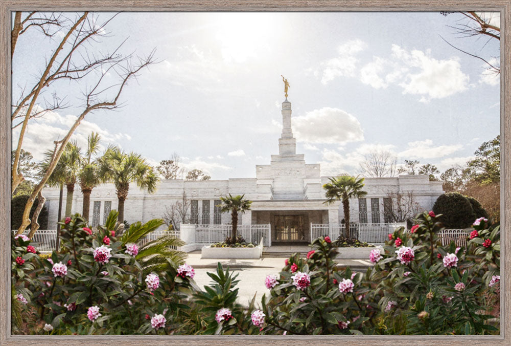 Columbia South Carolina Temple- Increased Faith