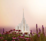 Rexburg Temple - Silk and Purple by Mandy Jane Williams