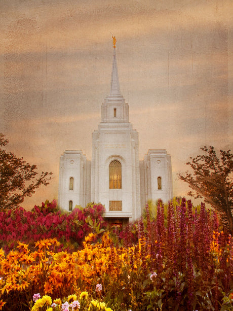 Brigham City Utah Temple with orange and red fall flowers. 