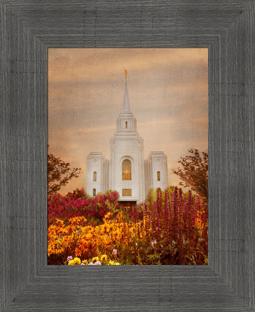 Brigham City Temple - Fall Flowers by Mandy Jane Williams