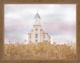 Cedar City Temple - Light On the Hill by Mandy Jane Williams