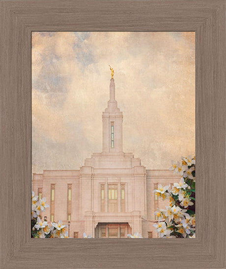 Pocatello Temple - Syringa Flowers by Mandy Jane Williams